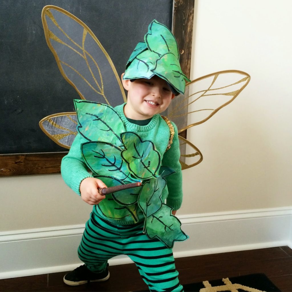 Men's Forest Fairy Costume