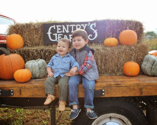 TRIP TO THE PUMPKIN PATCH + FRESHLY PICKED GIVEAWAY!
